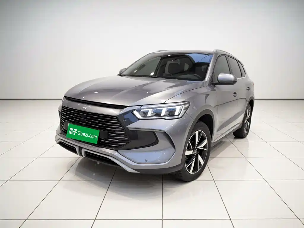 BYD Pro New Energy