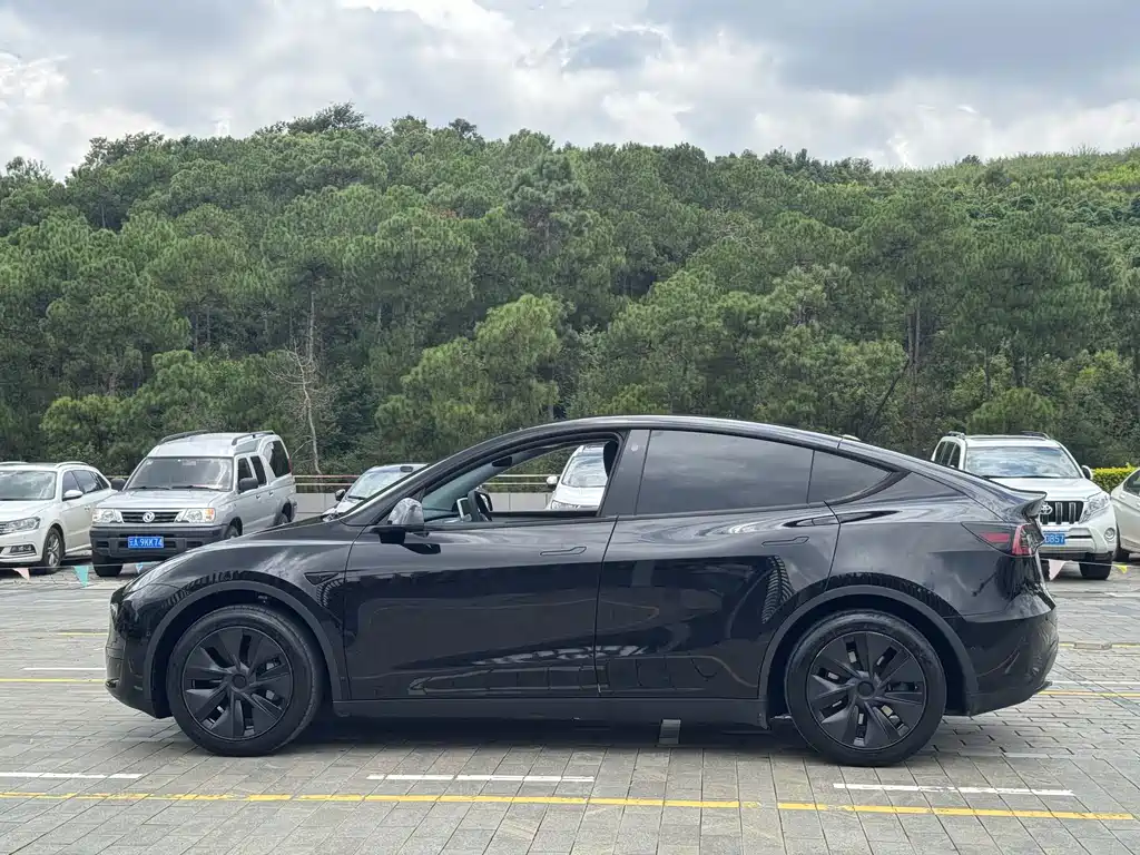 Tesla Model Y — миниатюра 13