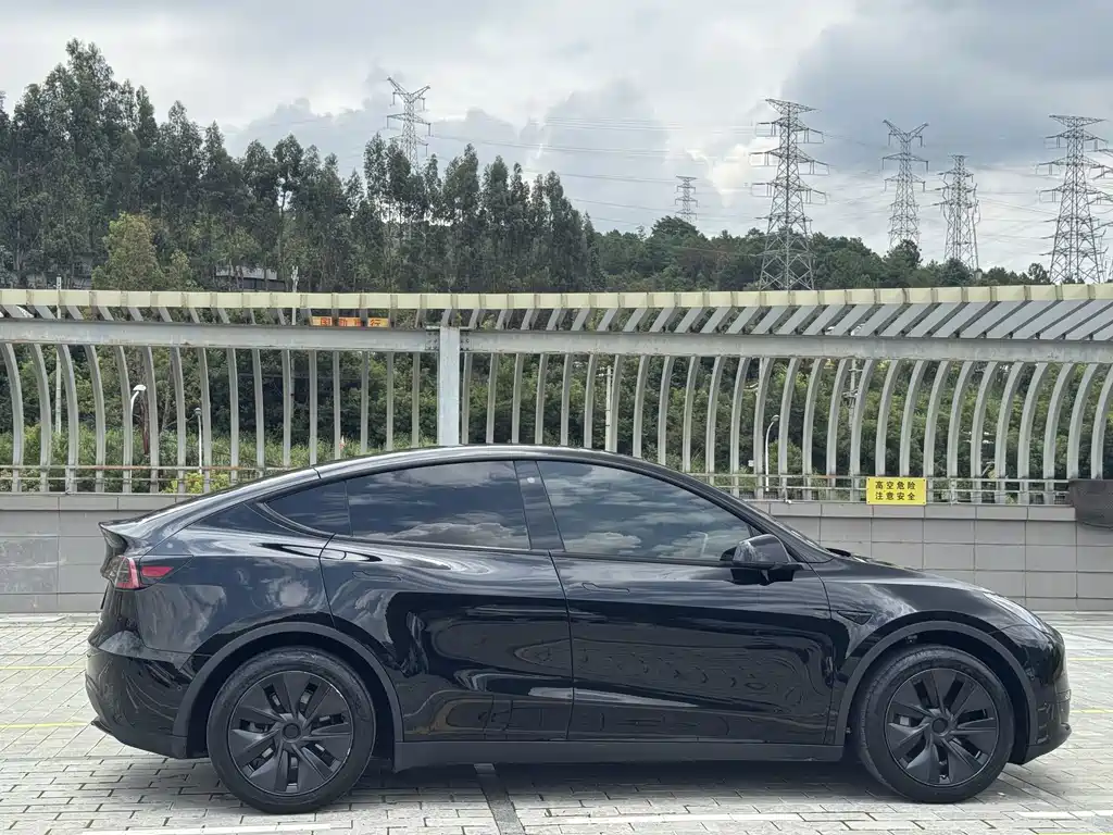 Tesla Model Y — миниатюра 7