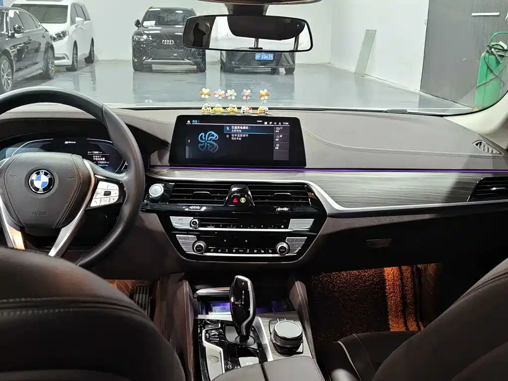 BMW 5 Series New Energy — миниатюра 5