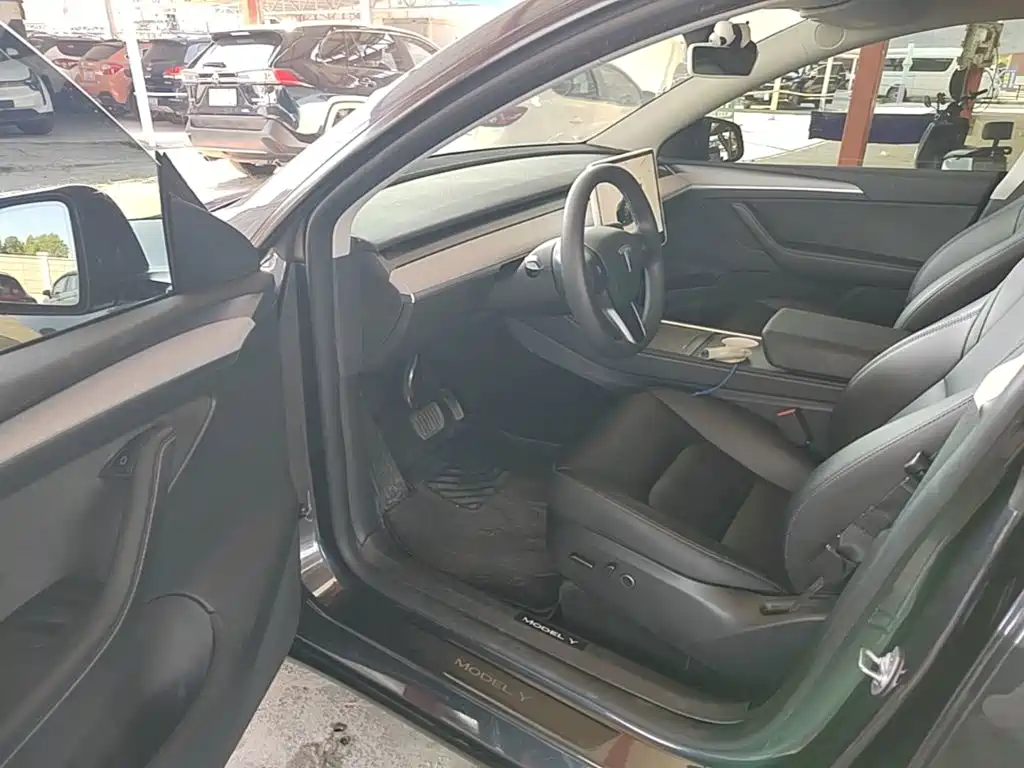 Tesla Model Y — миниатюра 16