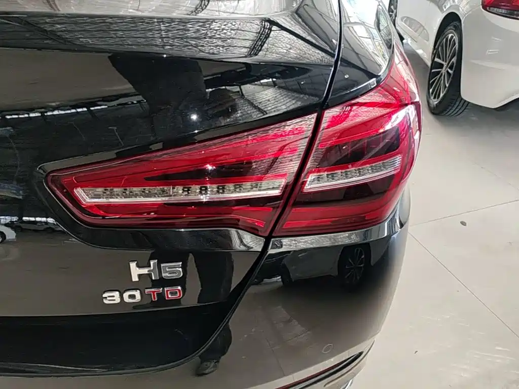 Hongqi Hongqi H5 — миниатюра 8