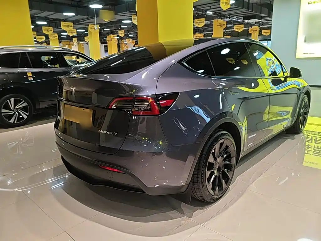 Tesla Model Y — миниатюра 7