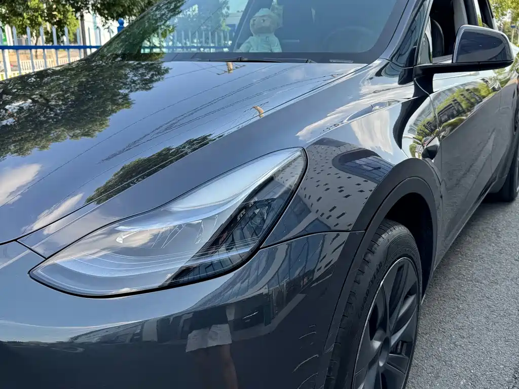 Tesla Model Y — миниатюра 11