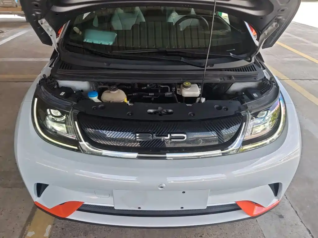 BYD Dolphin — миниатюра 20