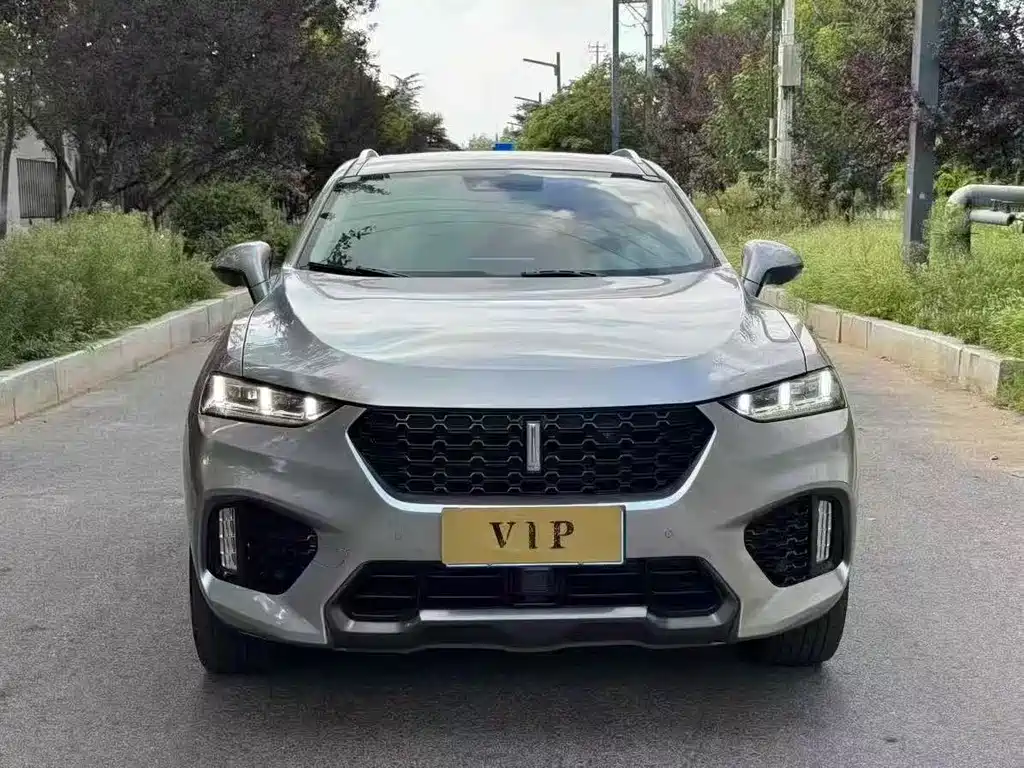WEI PAI WEI BRAND VV7