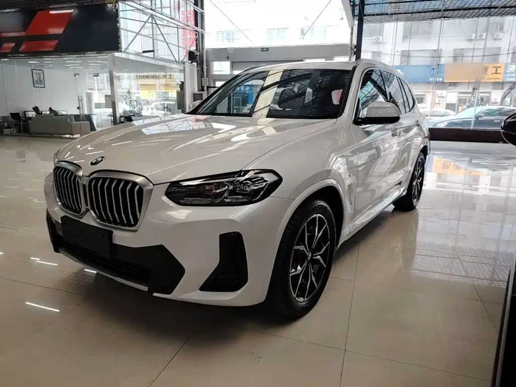 BMW X3 — миниатюра 2