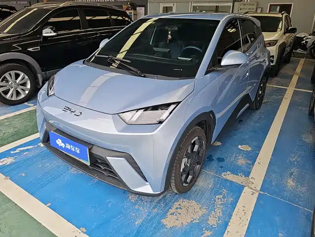 BYD 海鸥