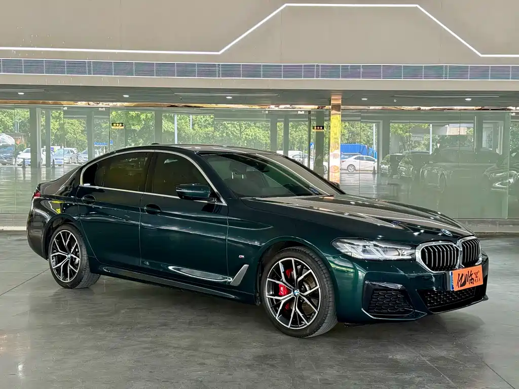BMW 5 Series (Import) — миниатюра 3