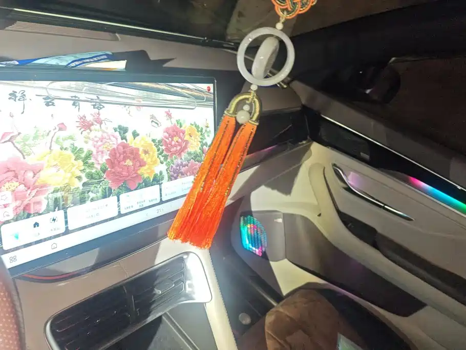 BYD PLUS New Energy — миниатюра 13