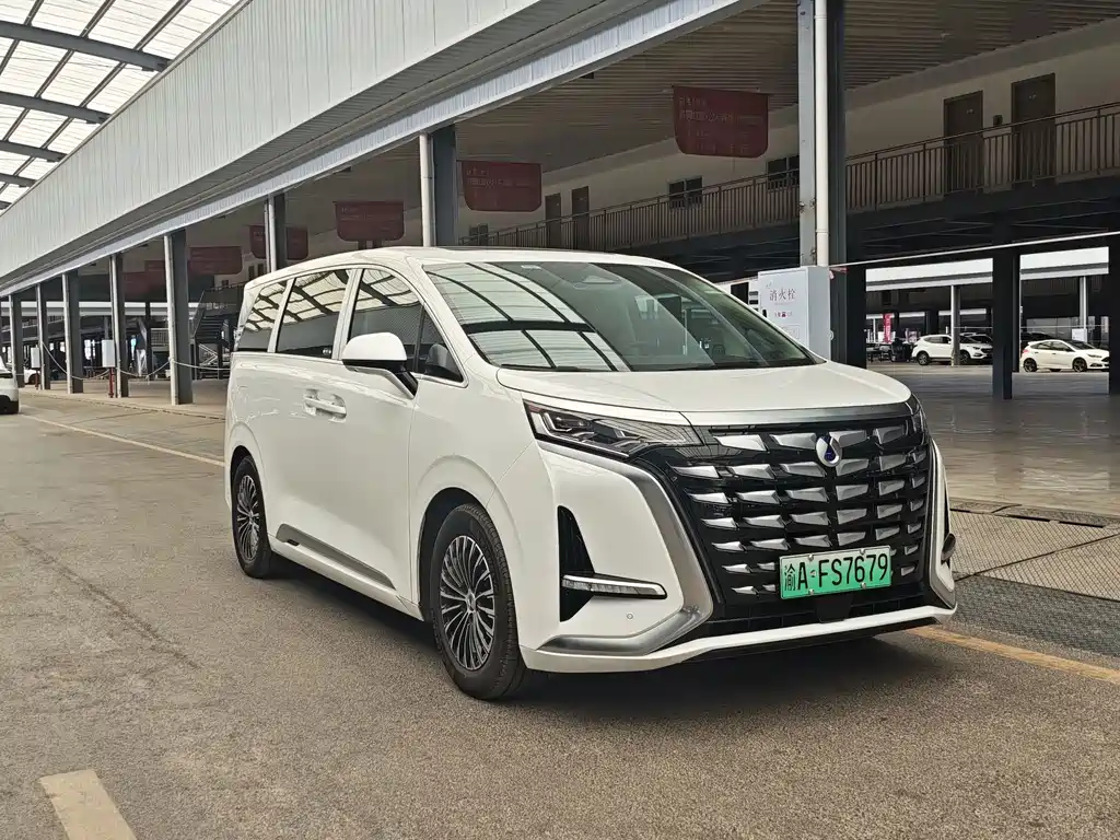 Denza Denza D9 — миниатюра 3