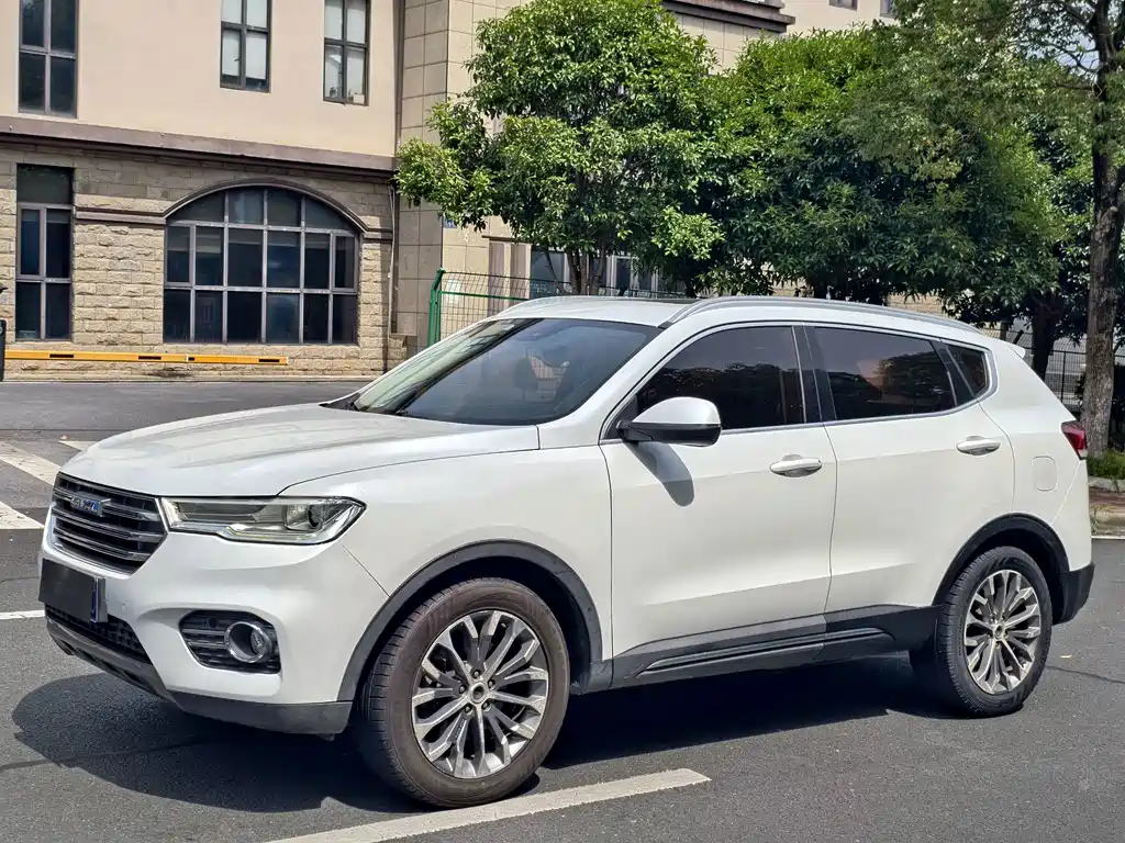 2017 Haval H6 - zdjęcie 1 z 9