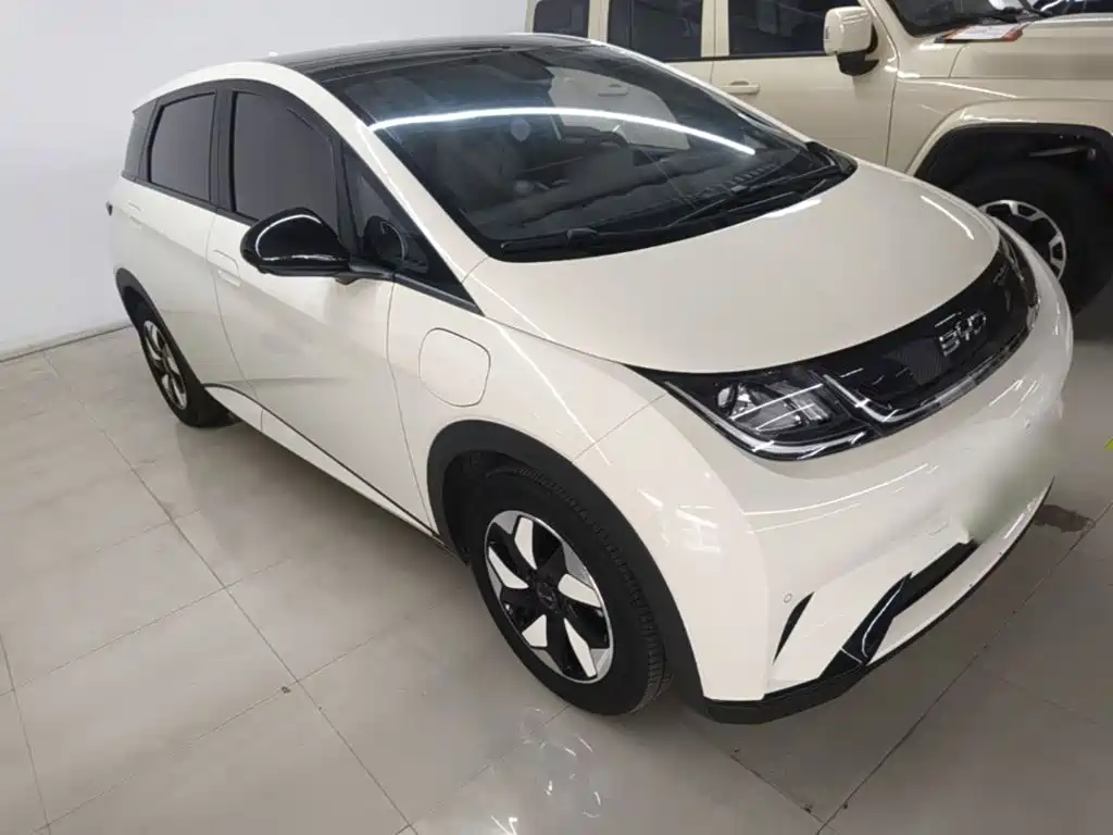 BYD Dolphin — миниатюра 4