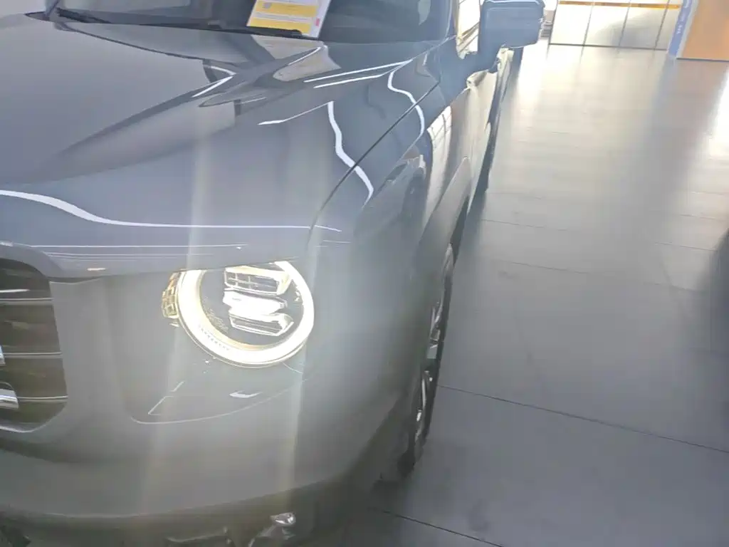 Haval Big Dog — миниатюра 24