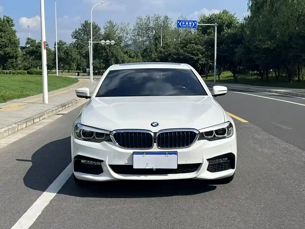 BMW 5 Series (Import) — миниатюра 3