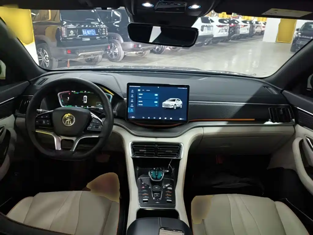 BYD PLUS New Energy — миниатюра 10