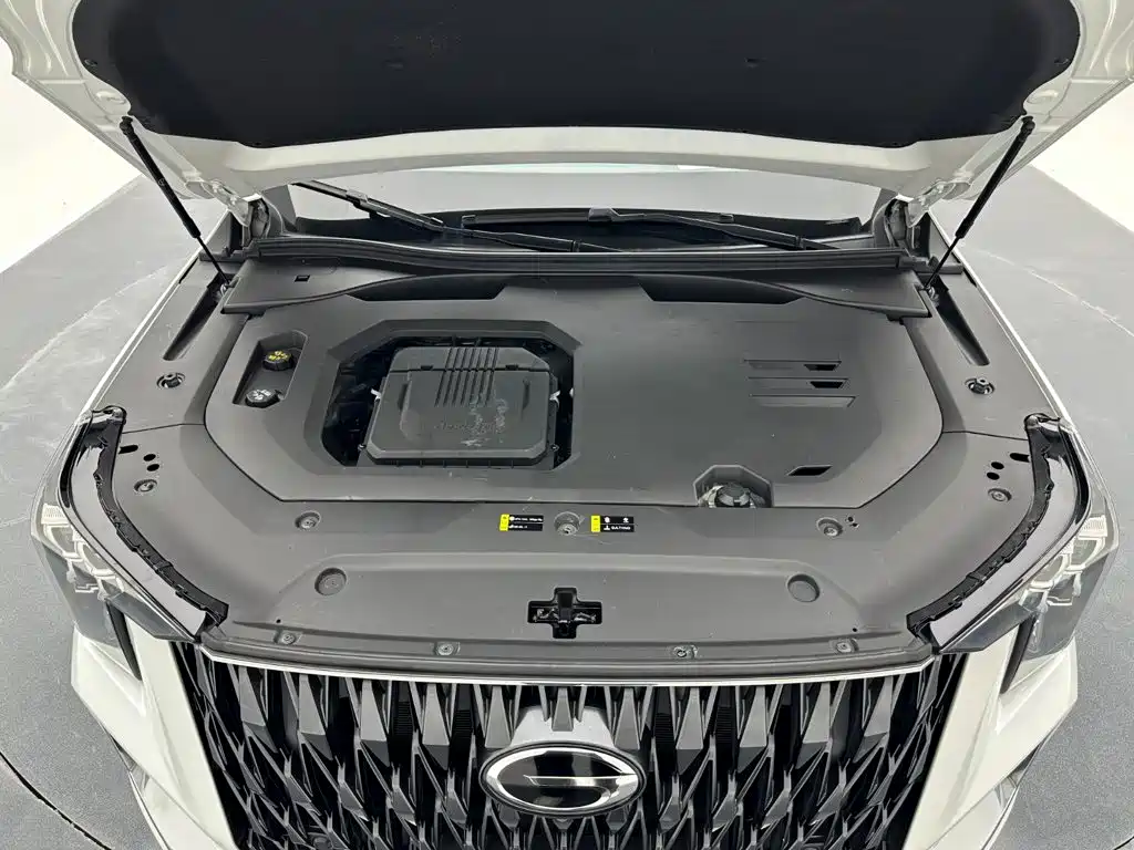 GAC Motor Trumpchi GS8 — миниатюра 20