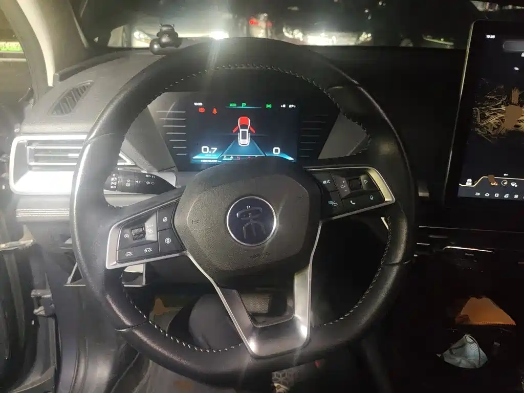 BYD Pro — миниатюра 6