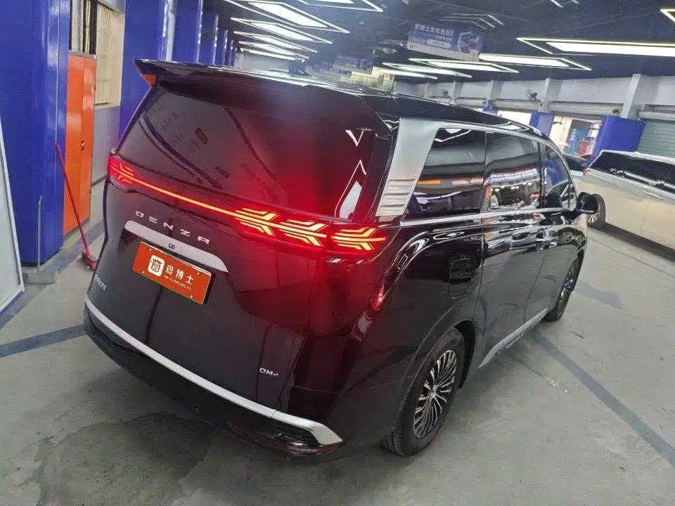 Denza Denza D9 — миниатюра 2