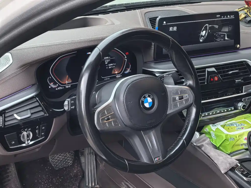 BMW 5 Series — миниатюра 6