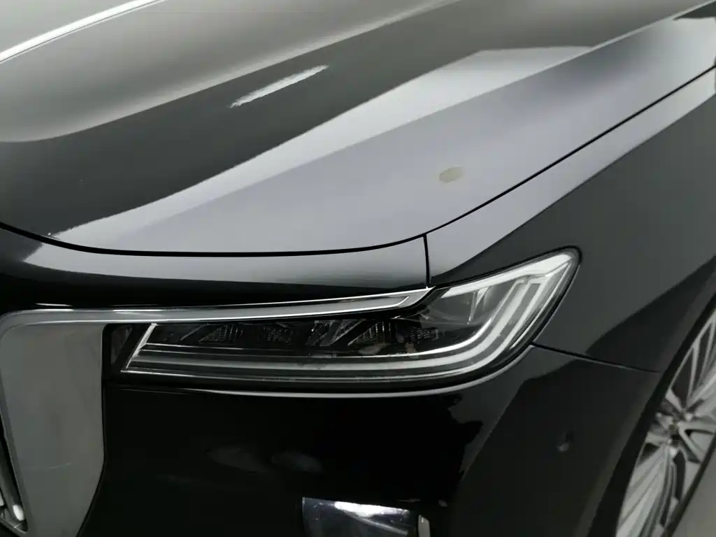 Hongqi Hongqi H9 — миниатюра 7