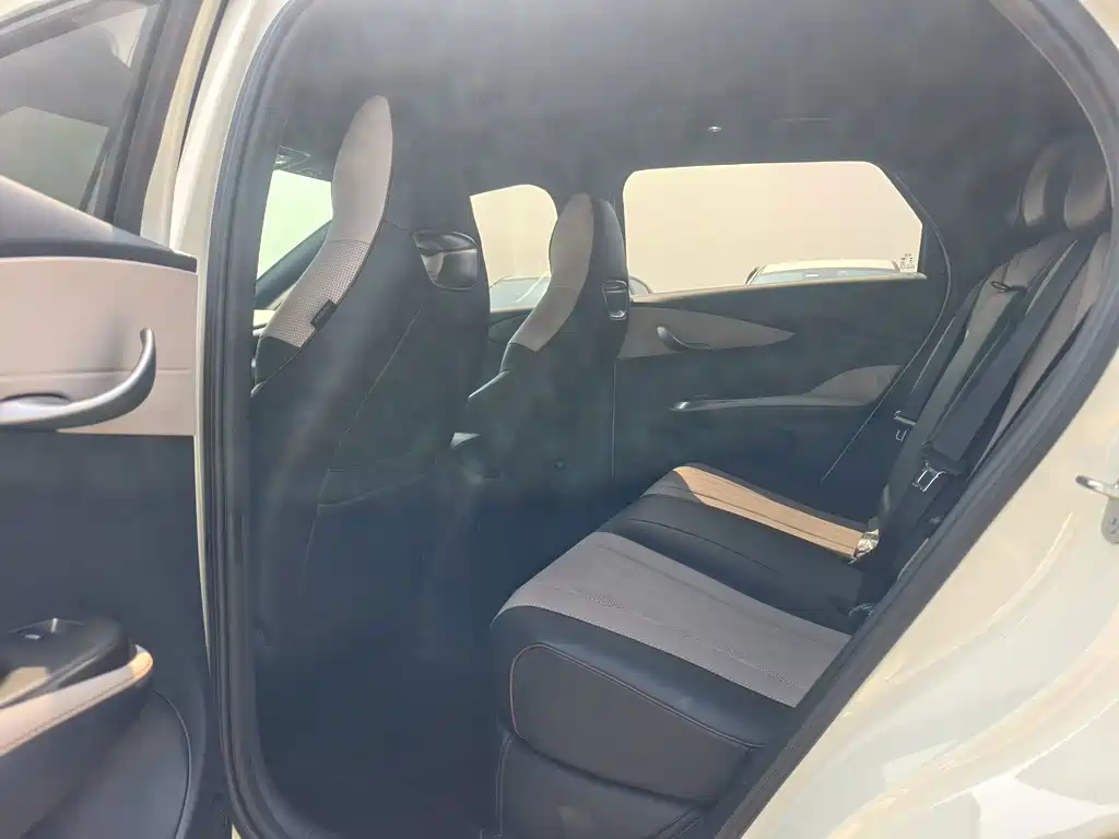 BYD Dolphin — миниатюра 10