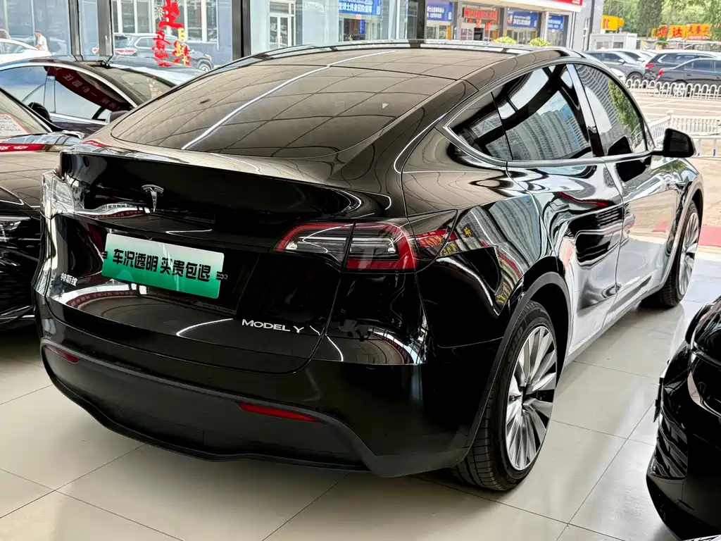 Tesla Model Y — миниатюра 14