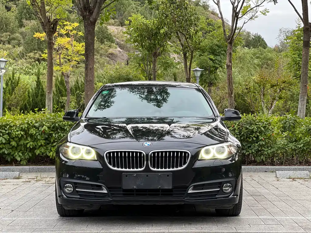 BMW 5 Series — миниатюра 2