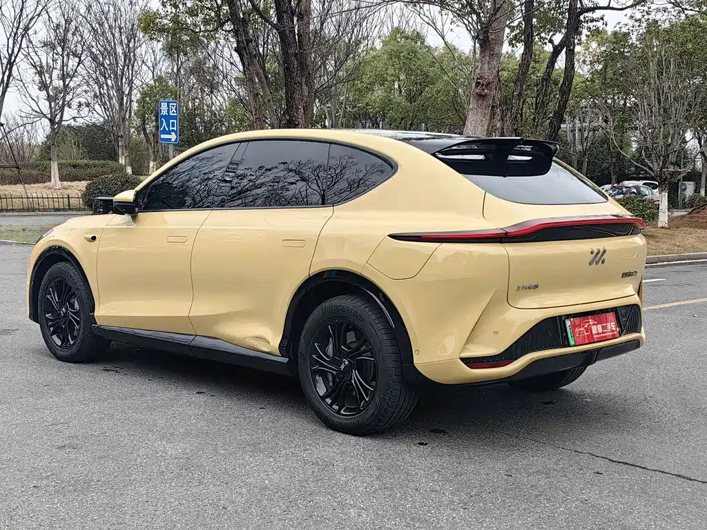 ZHIJI AUTOMOBILE ZHIJI LS7