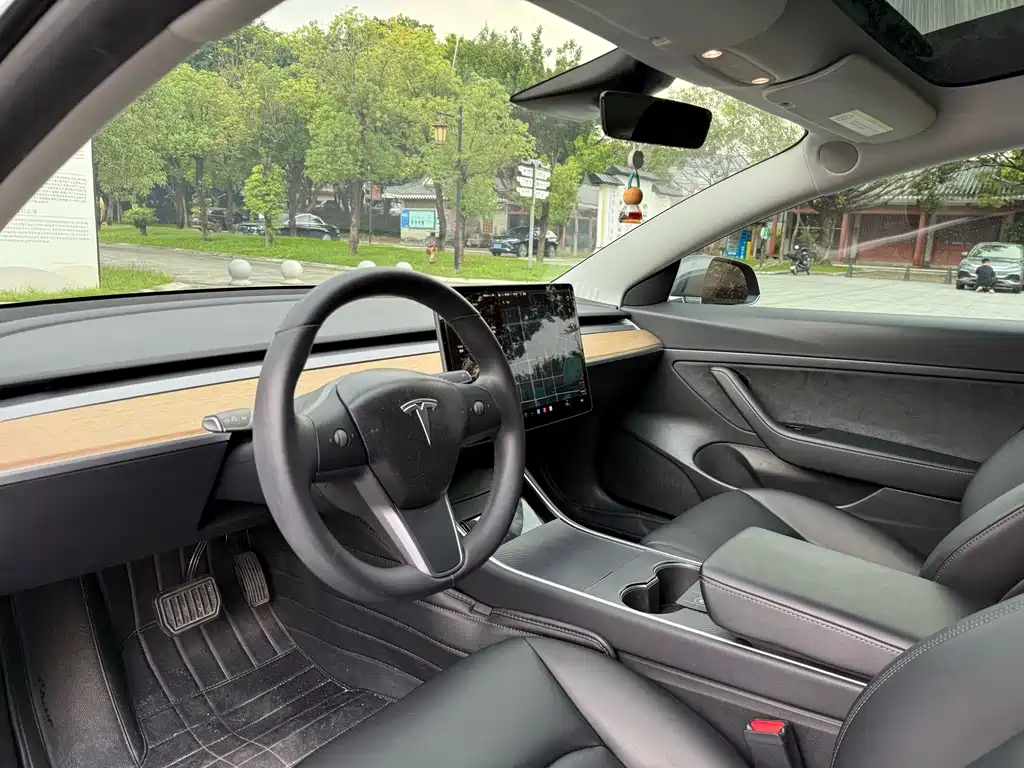 Tesla Model 3 — миниатюра 5