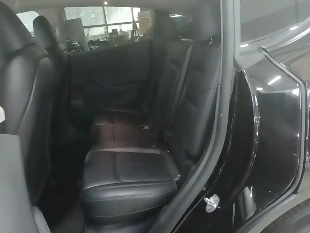 Tesla Model Y — миниатюра 17