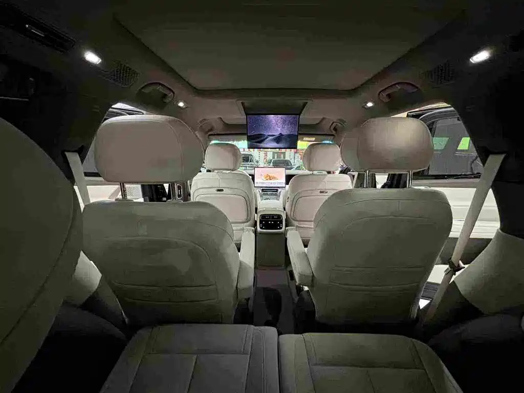 Denza Zoom N8L — миниатюра 6