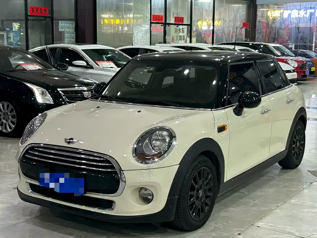 Mini Mini 2018
