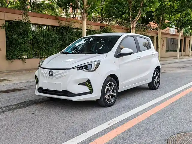 2021 Changan Benni EC/EV