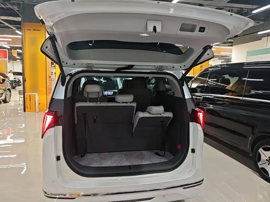 Buick GL8 — миниатюра 19