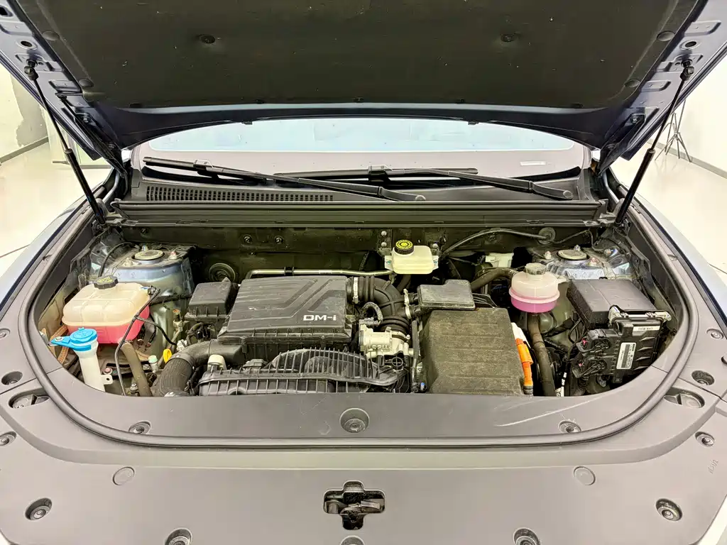 BYD Pro New Energy — миниатюра 19