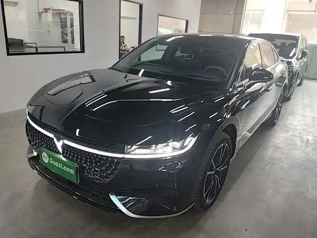 2024 Voyah Passion