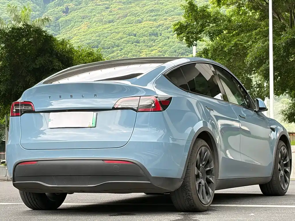 Tesla Model Y — миниатюра 9