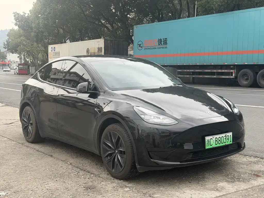 TESLA MODEL Y
