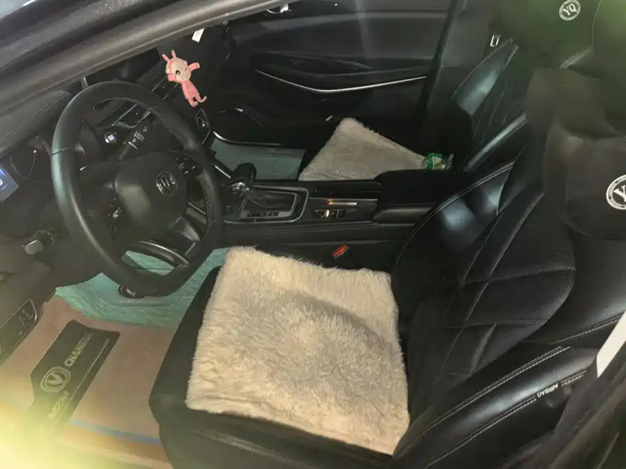 Changan Ruicheng CC — миниатюра 9