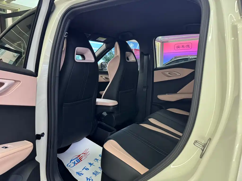 BYD Seagull