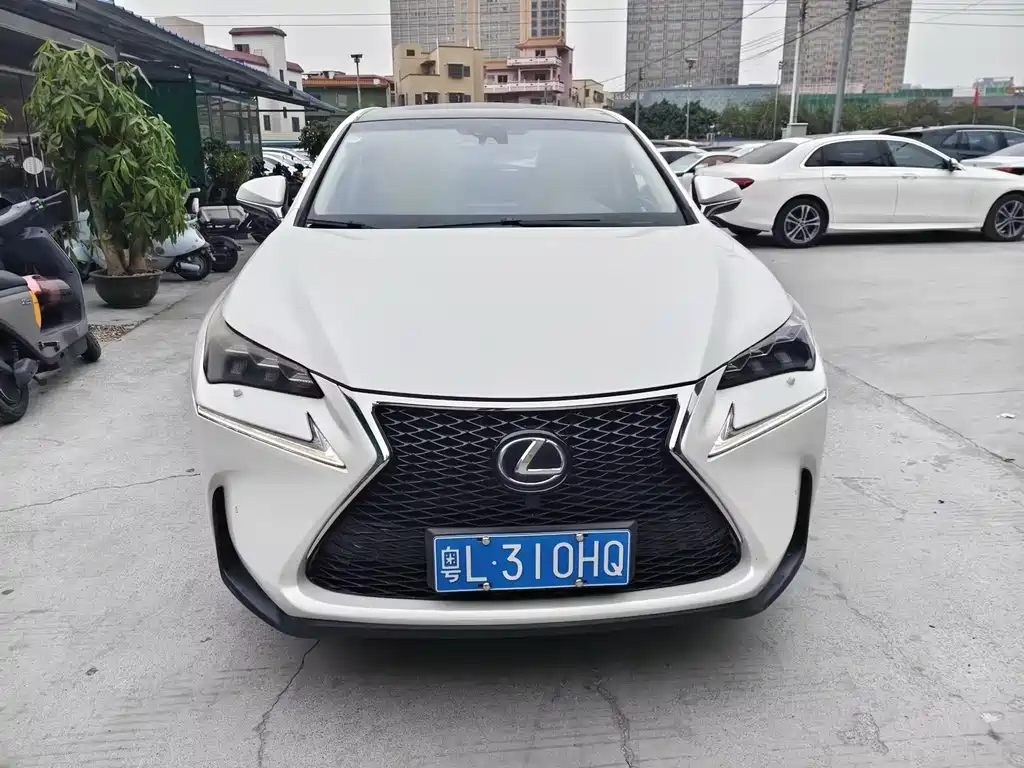 LEXUS NX