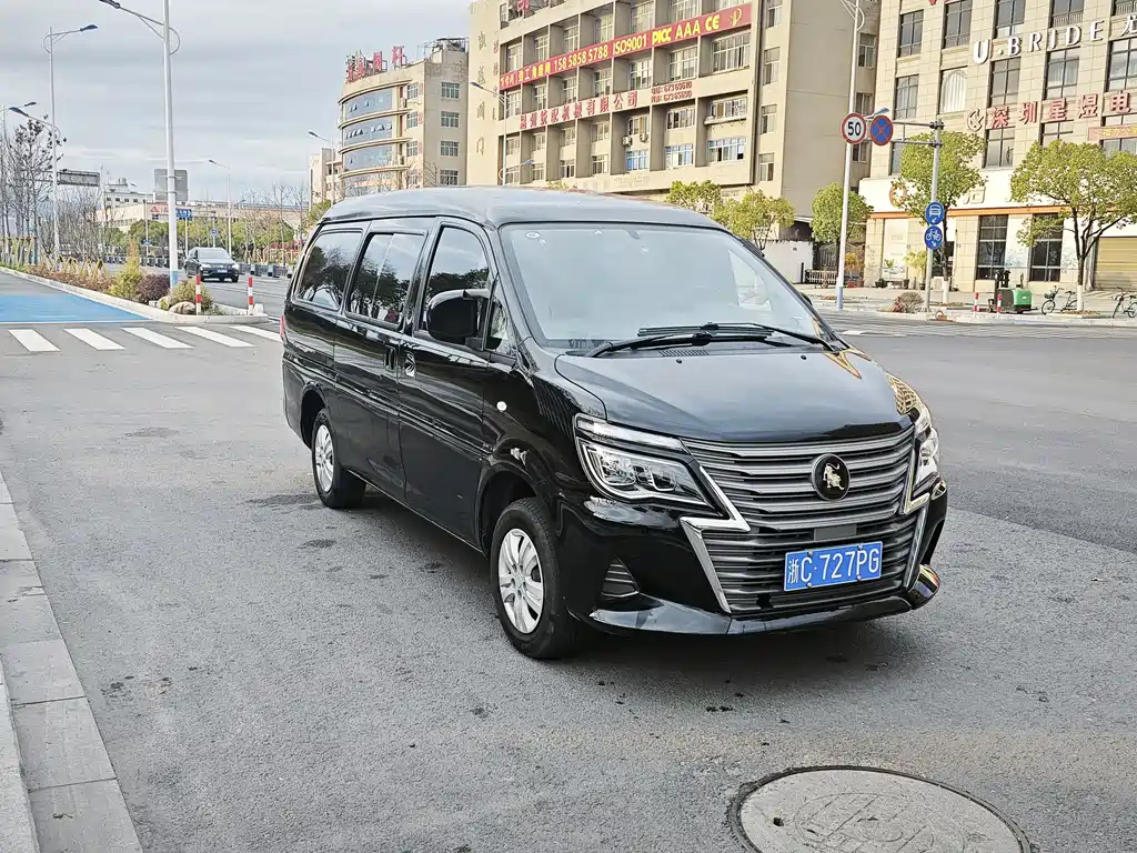 DONGFENG LINGZHI
