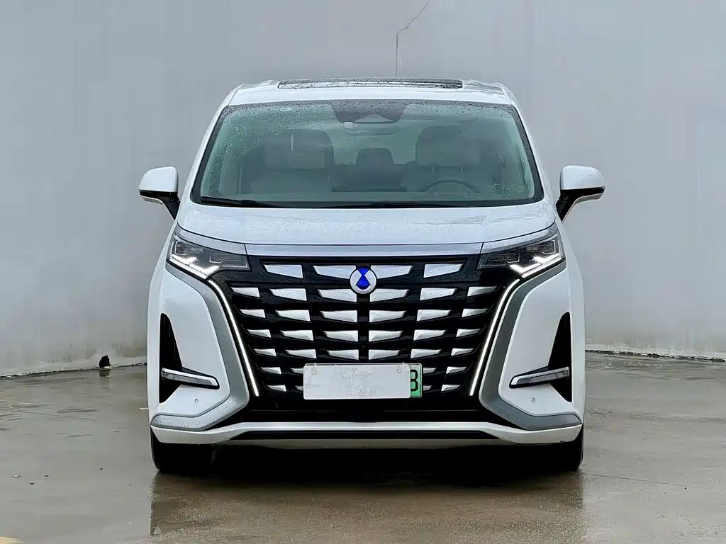 Denza Denza D9 — миниатюра 2