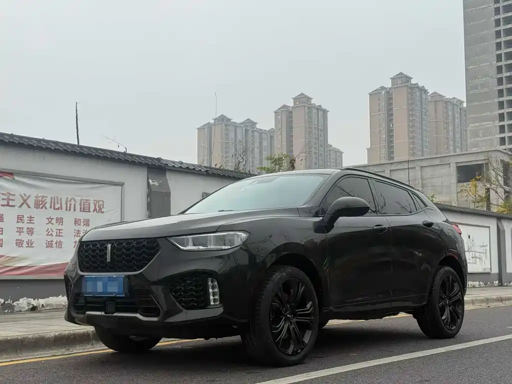 Купить Wey Wey VV5