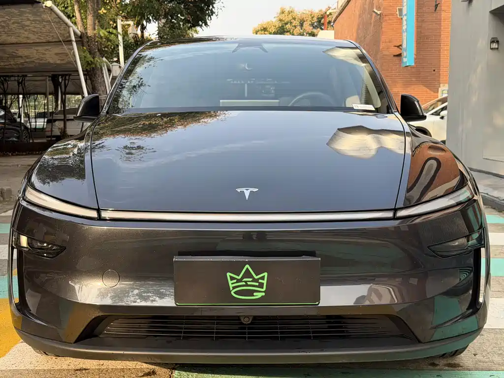 Tesla Model Y — миниатюра 2