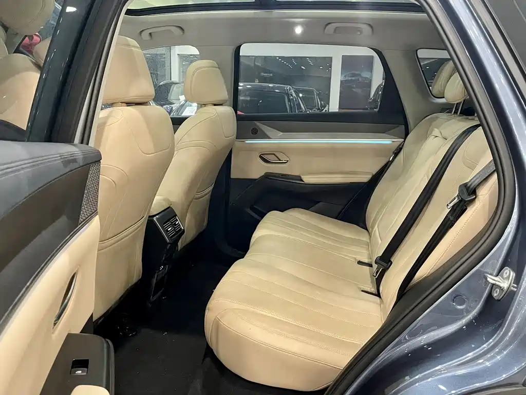 BYD SONGJIANG NEW ENERGY