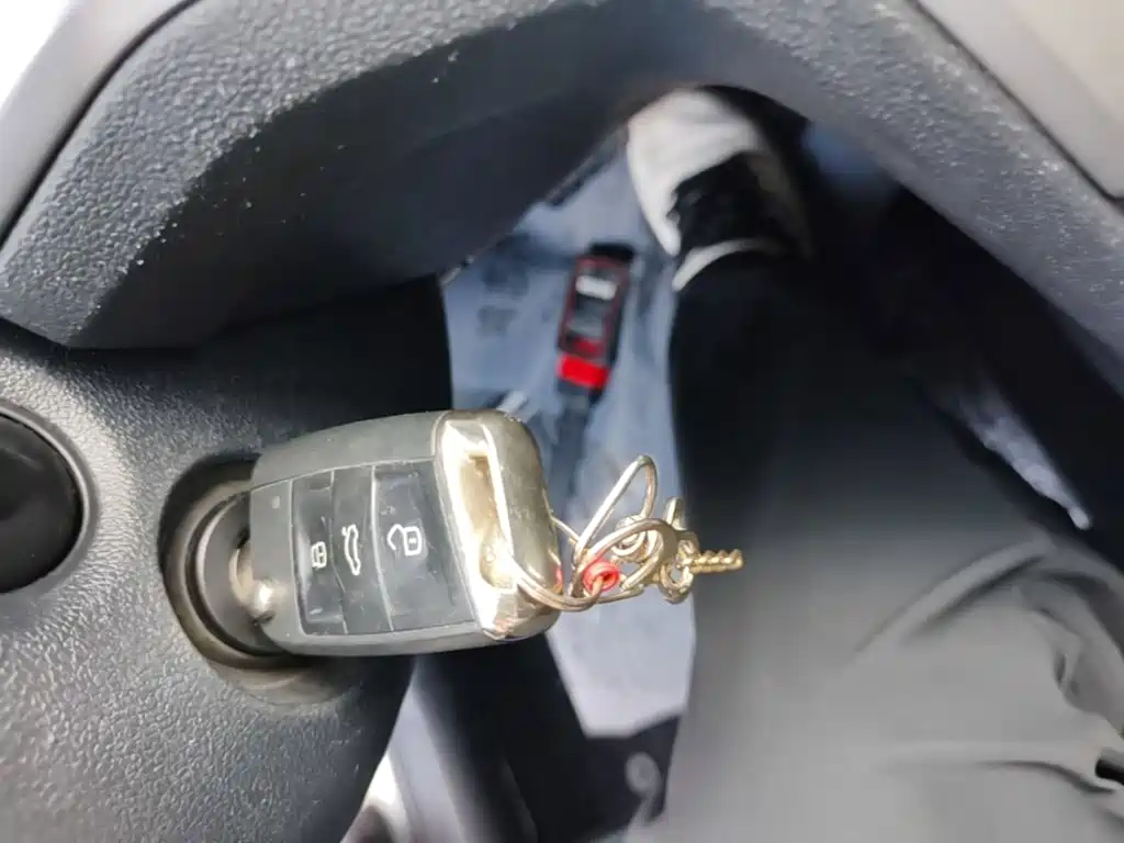 Volkswagen Lamando — миниатюра 9