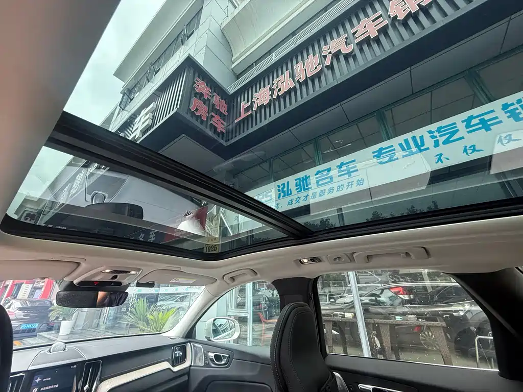 Volvo XC60 2019 T8 E Luxury VI