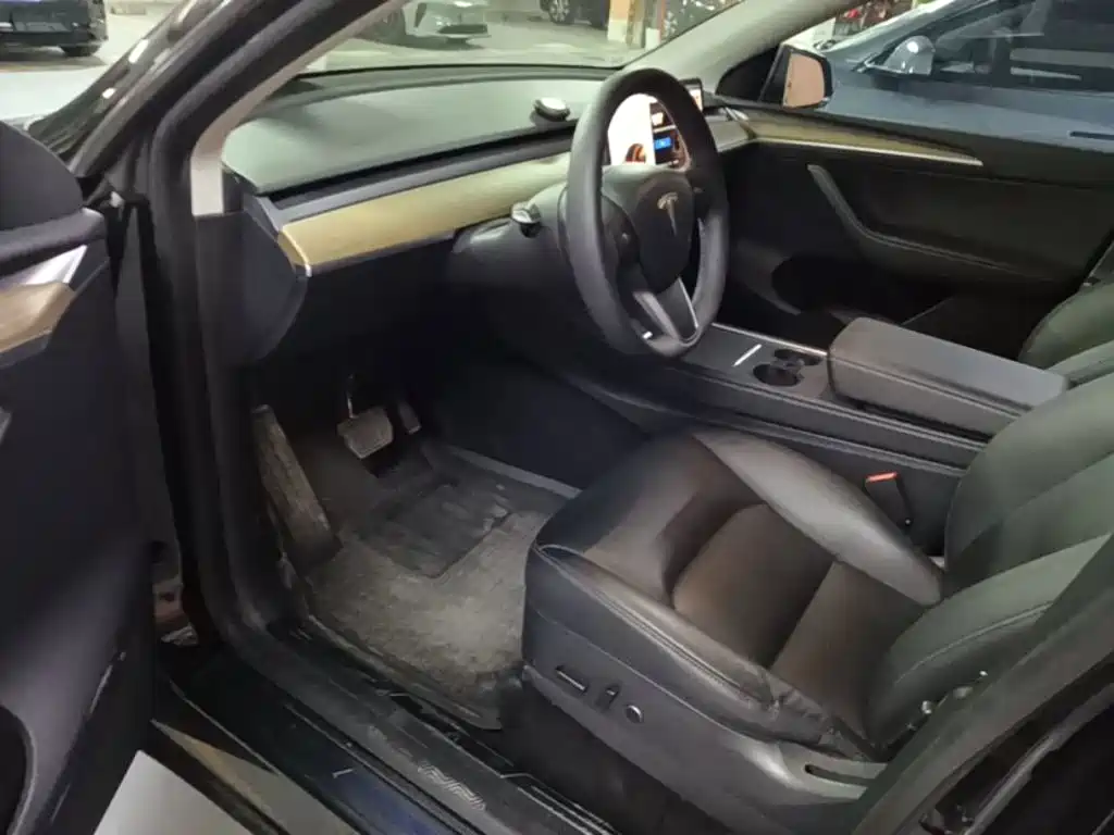 Tesla Model Y — миниатюра 16